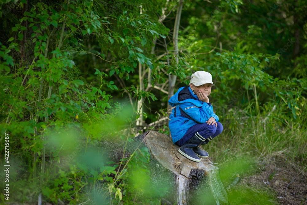 Obraz premium a boy in a blue jacket and cap in the woods in summer, selective focus