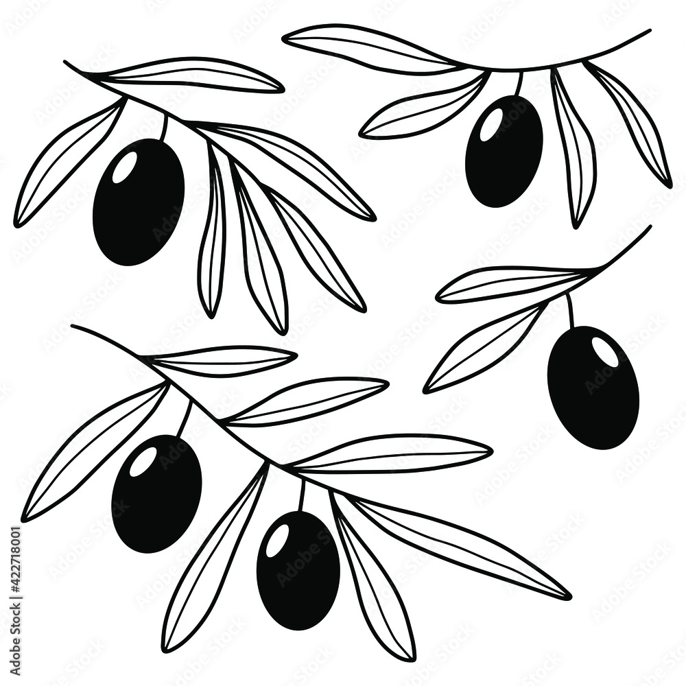 Set of vector hand drawn olive branches isolated on white background. Outline olive tree branches for menu, logo, greeting cards, patterns, web. Set of vector hand drawn olive branches isolated on white background. Outline olive tree branches for menu, logo, greeting cards, patterns, web.