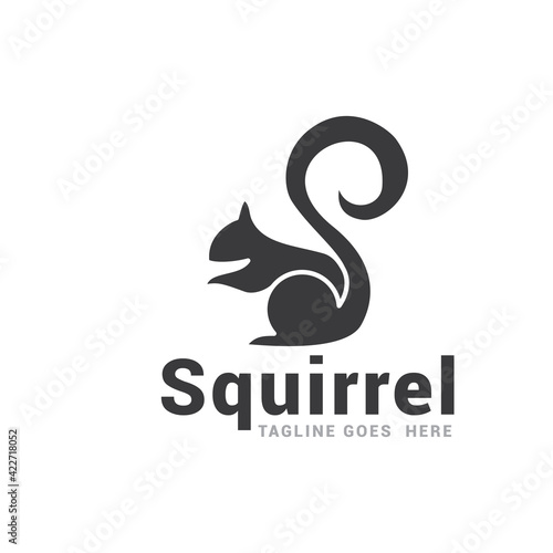 Squirrel logo icon vector template.