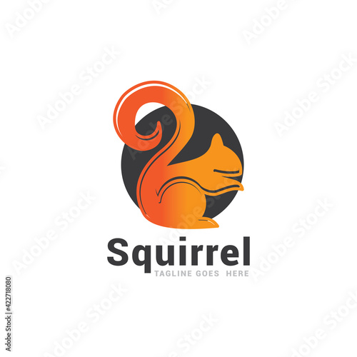 Squirrel logo icon vector template.