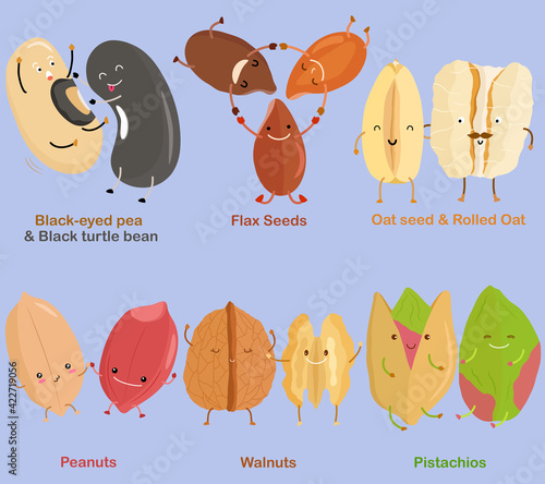 Vector of Bean, Nut, Seed - Black-eyed pea, Black turtle bean, Flax Seed, Oat seed,  Rolled Oat, Peanut, Walnut, Pistachio.