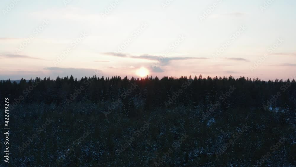 Aerial view of the sunset over the endless forest Aerial view of the sunset over the endless forest