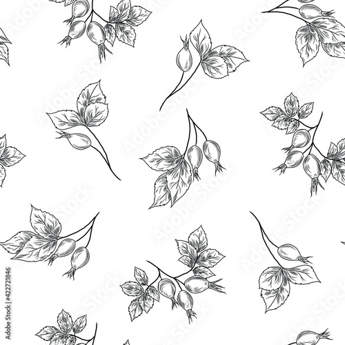 Rose-hip plant, rose-hip herb on the seamless pattern