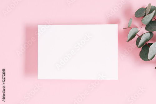 White paper empty blank, eucalyptus branch on pastel pink background. Invitation card mockup on pink table. Flat lay, top view, copy space, mock up