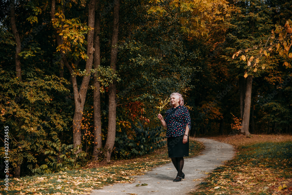Fototapeta premium A happy elderly woman walks along the path in the autumn park. She is beautifully dressed, smiling while enjoying the walk and holding a sprig of leaves in her hand.