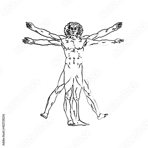 line expressiv, Stylized sketch of the Vitruvian man or Leonardo's man. Homo vitruviano vector illustration based on Leonardo da Vinci art