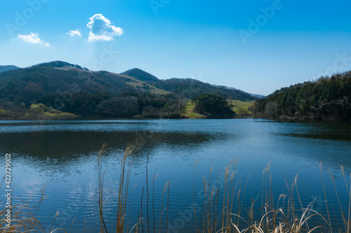 Fototapeta Naklejka Na Ścianę i Meble -  Sunny spring, landscape with lake, trees and forest. Seosan-si, Chungcheongnam-do, Republic of Korea