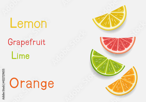 Isolated citrus slices fresh fruits cut in half orange grapefruit lime lemon and line. Vector Illustration Design.