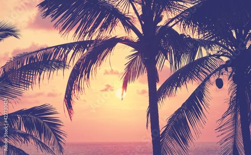 Close up of coconut palm trees silhouettes at sunset, color toning applied, selective focus. © MaciejBledowski