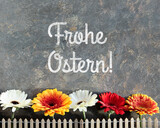 Easter decorations, text Frohe Ostern means Happy Easter in German language. Gerbera flowers behind decorative fence. Spring arrangement on distressed background. German Easter greeting card design.