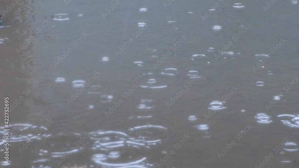 Rain drops Rain drops
