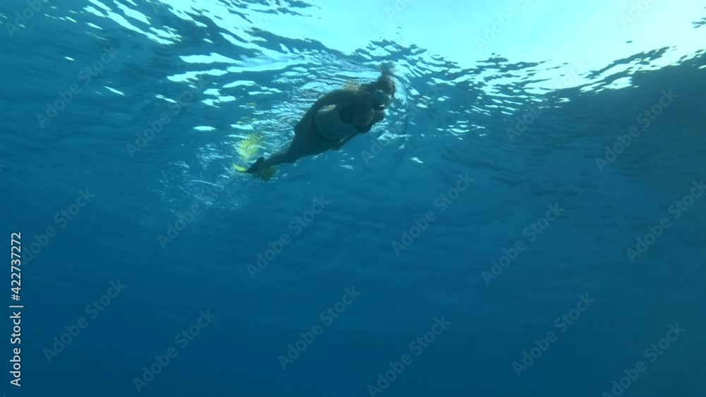 A woman in a mask and fins swims under surface in the blue water. Female snorkeler swims in the blue water. Underwater shot A woman in a mask and fins swims under surface in the blue water. Female snorkeler swims in the blue water. Underwater shot