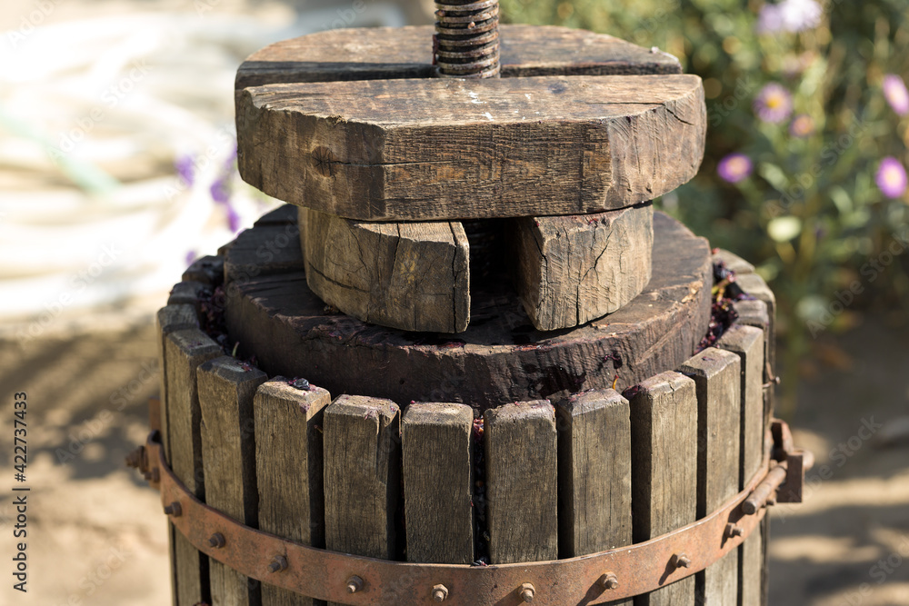 Winepress with red must and helical screw. Production of traditional Italian wines, crushing of grapes. Winepress with red must and helical screw. Production of traditional Italian wines, crushing of grapes.