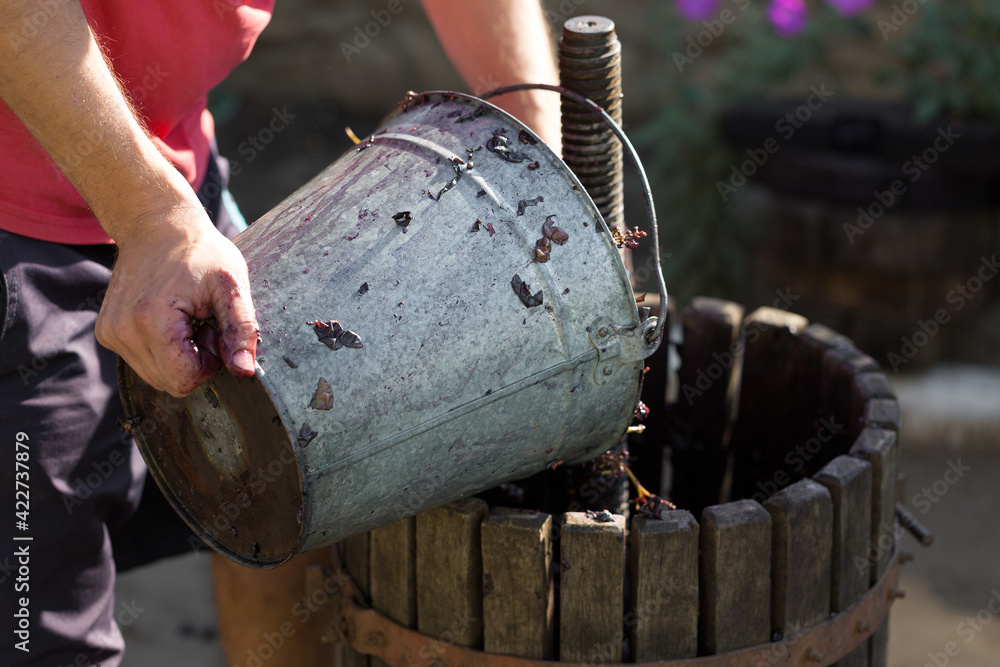 Winepress with red must and helical screw. Winemaker's hands close up. Winepress with red must and helical screw. Winemaker's hands close up.