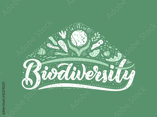 Biodiversity brush lettering decorative word on a green background. Advertising banner template. Maintenance of ecosystem. Vector illustration