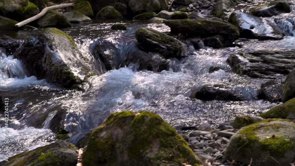 Forest stream. Water flowing over rocks with sound. Forest stream. Water flowing over rocks with sound.