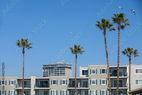 Palm tree lined view of downtown Oceanside, California, USA. © Matt Gush