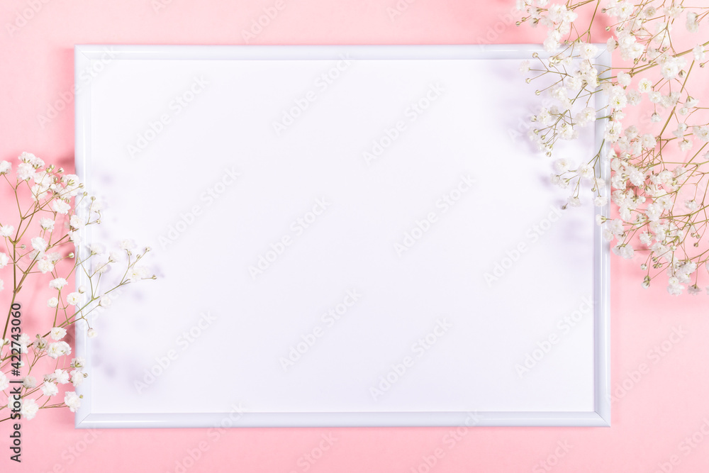 Frame with white copy space and gentle white gypsophila flowers on pastel pink. Spring festive background.