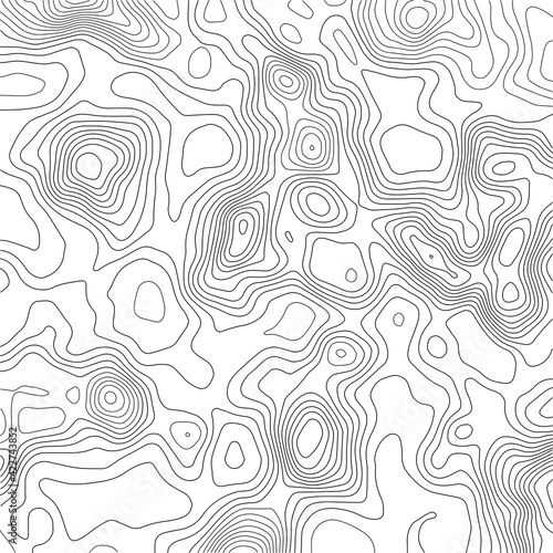 Grid map.Topographic map background. Abstract vector illustration.