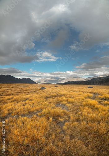 Wide angle landscape of endless fields with yellow grass high in the mountains. Through the clouds you can see the blue sky. Landscape natural mountain backdrop for hiking and trekking