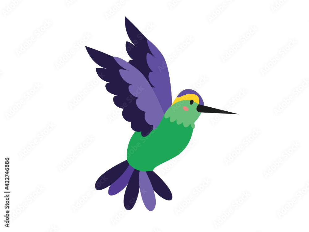 Obraz premium hummingbird