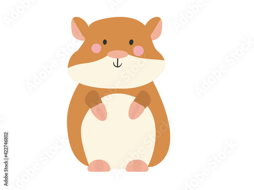 hamster