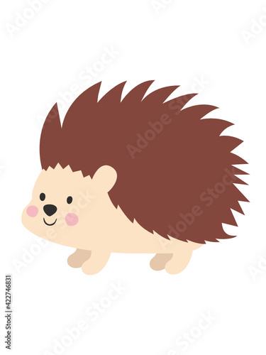 hedgehog 