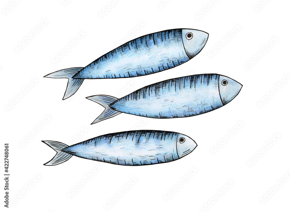 Ilustración de 3 sardinas o peces dibujados a mano con lápices de colores. Ilustración de 3 sardinas o peces dibujados a mano con lápices de colores.