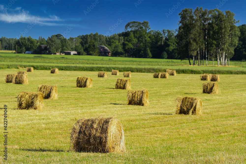 Hay bales on rural landscape 