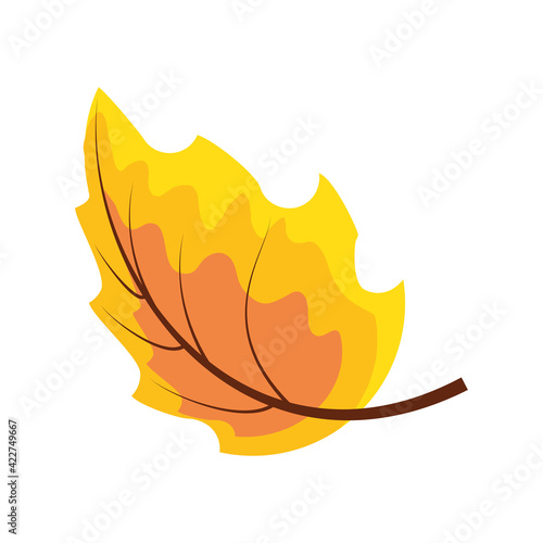 dry leaf autumn