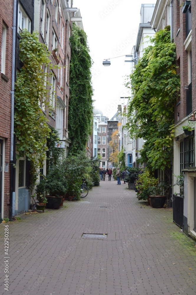 Fototapeta premium Amsterdam, Pays-Bas