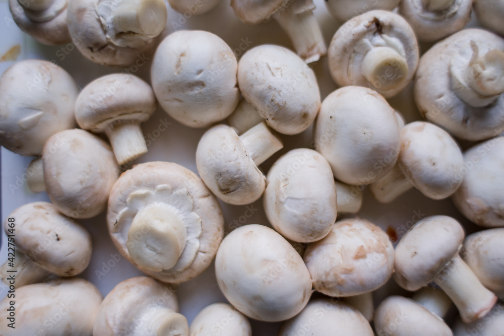 a lot of champignon mushrooms on the table