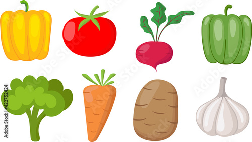 A set of vegetables - beets, carrots, garlic, potatoes, tomatoes, peppers, broccoli. Vector cartoon for vegetarian food, summer ingredient for salad proper nutrition.