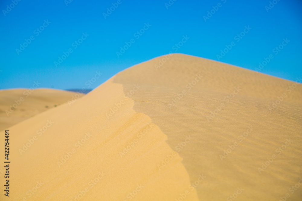 sandy hill in the desert, Central Asia, Kazakhstan sandy hill in the desert, Central Asia, Kazakhstan