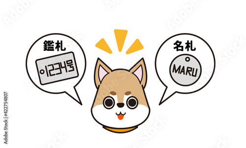 名札と鑑札を付けた可愛いペットの柴犬
