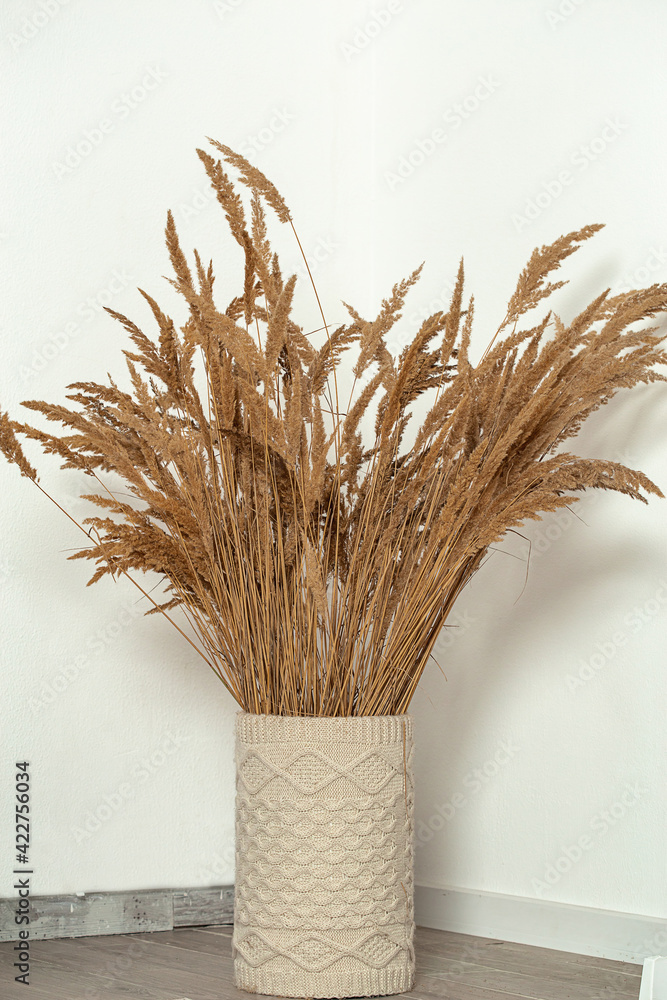 A bouquet of dry pampas herbs, reed stalks in a stylish vase. Minimalistic interior concept. Reed grass branches in a vase, in a white interior.