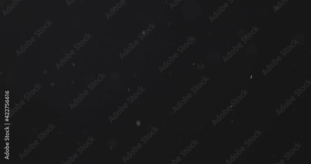 Small airborne particles flying against dark background closeup Small airborne particles flying against dark background closeup