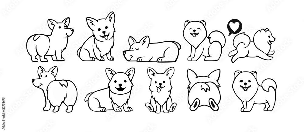 Dogs corgi and spitz big set. Cute dogs in different poses in line