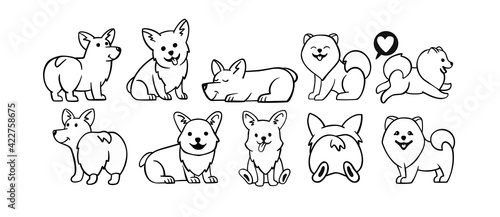 Dogs corgi and spitz big set. Cute dogs in different poses in line