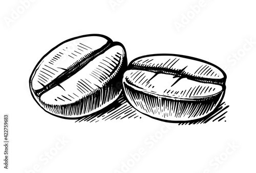 Coffee bean sketch. Hand drawing vintage clip art isolated on white background. Design for products and goods.