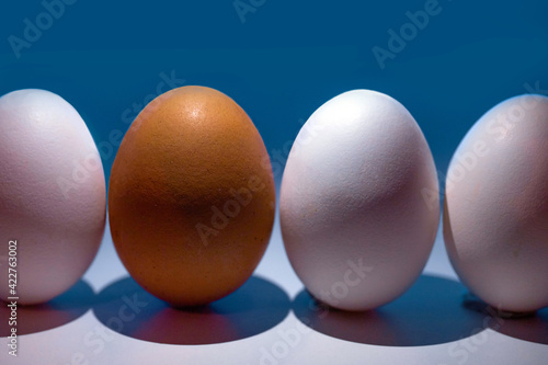  White eggs and a brown egg standing between them. Is a symbol of originality