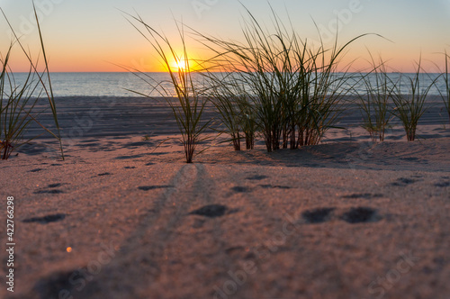 Fototapeta Naklejka Na Ścianę i Meble -  Sunset on the seashore. The sun is setting behind the sea horizon.
