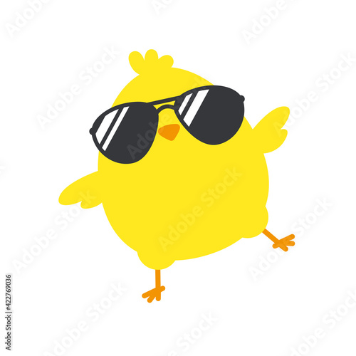 Newborn chick with glasses coming out of eggs isolated on background.