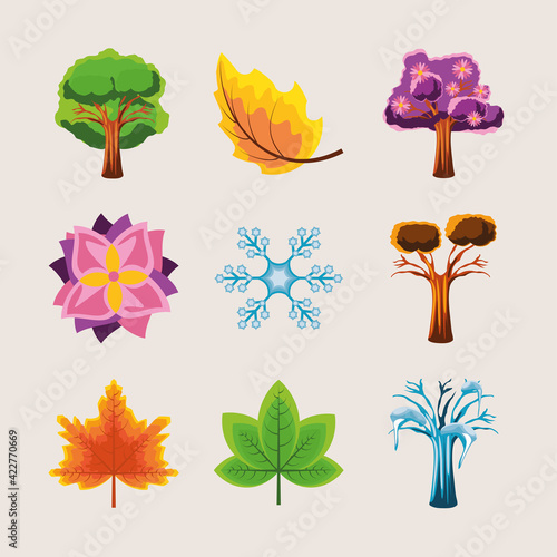 seasons trees flowers