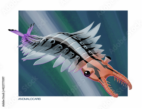 Canvas Print Anomalocaris, a Cambrian predator from 500 MYA