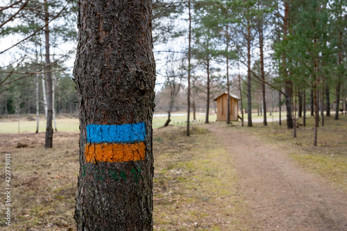 park where you can see an outdoor toilet made of wood pine tree trunk that is painted orange blue