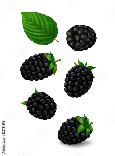 Set of single blackberry fruits (Marionberry) with green leaf hang in the air. Isolated on white background. Realistic vector illustration.