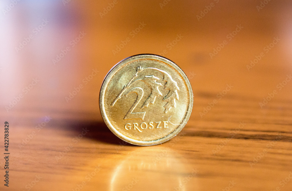 Polish national currency. Coins close up Polish national currency. Coins close up