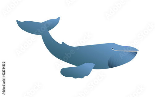 Happy blue whale animal illustration isolated