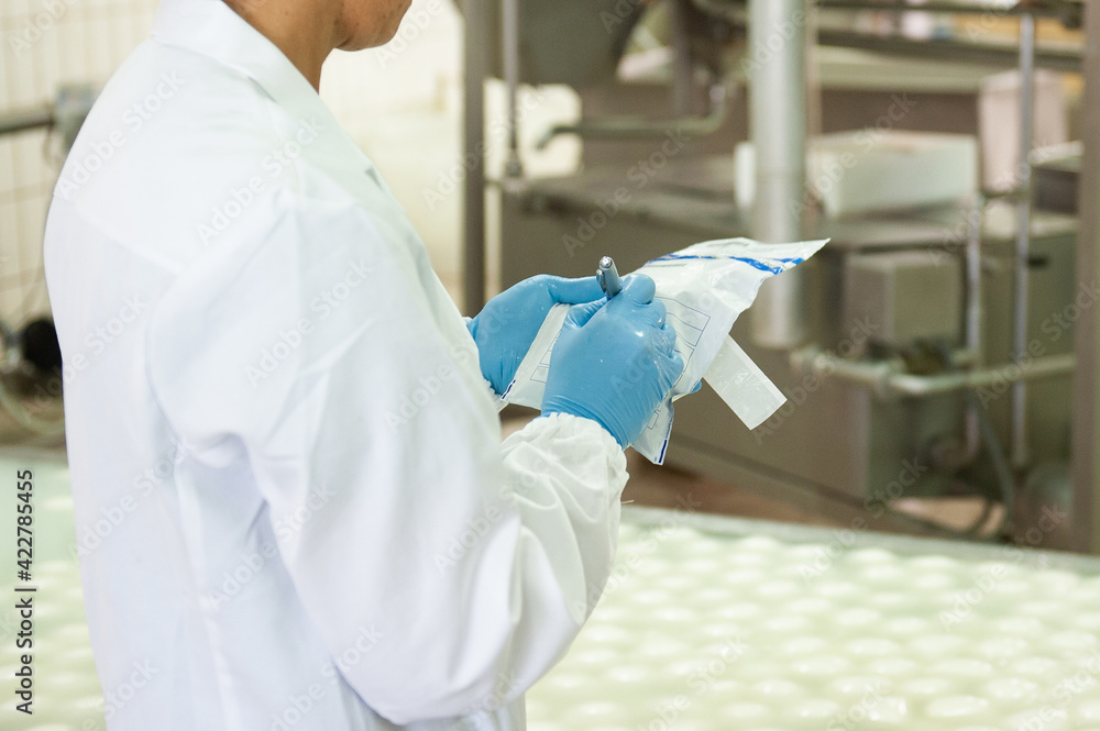 health check in a dairy for the production of buffalo mozzarella from Campania health check in a dairy for the production of buffalo mozzarella from Campania